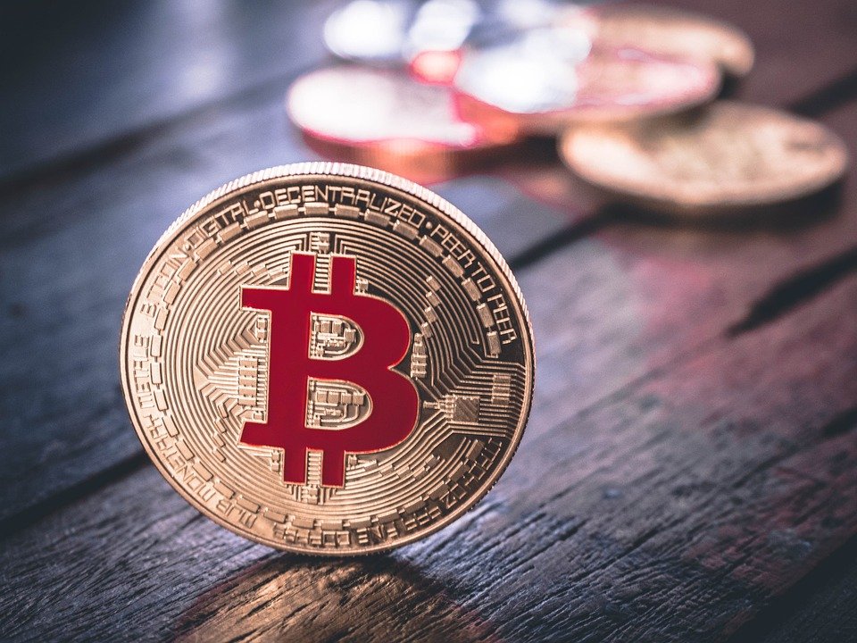 Crypto culture