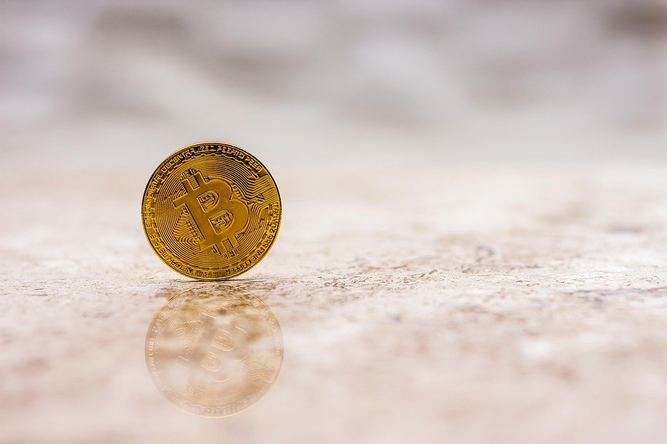Crypto culture
