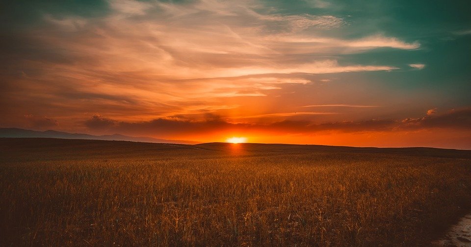 Crypto News