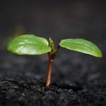 Crypto News